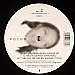 Helen Savage/The Rap